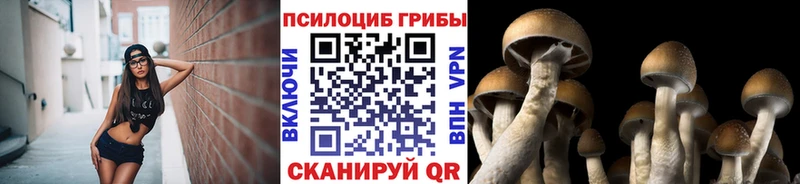 Псилоцибиновые грибы Psilocybine cubensis  Володарск 